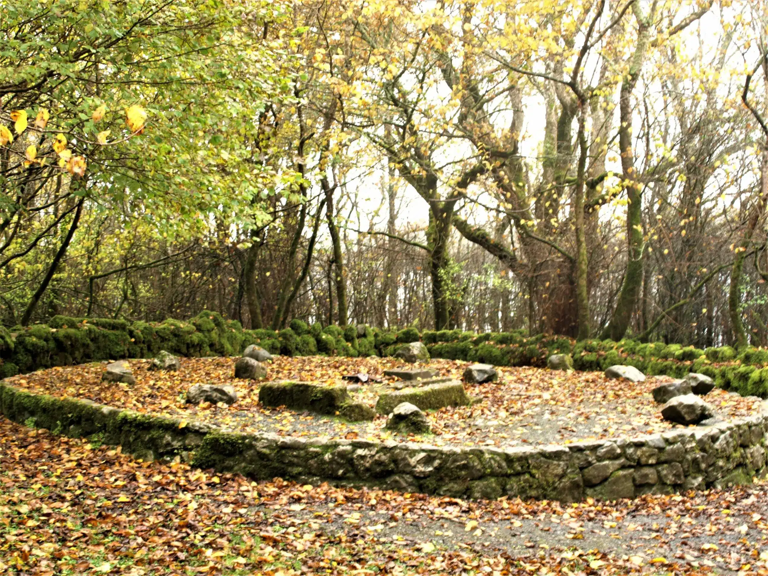 réseaux telluriques-Hikaso-Lyon-Geobiologue-feng shui-lucas daho